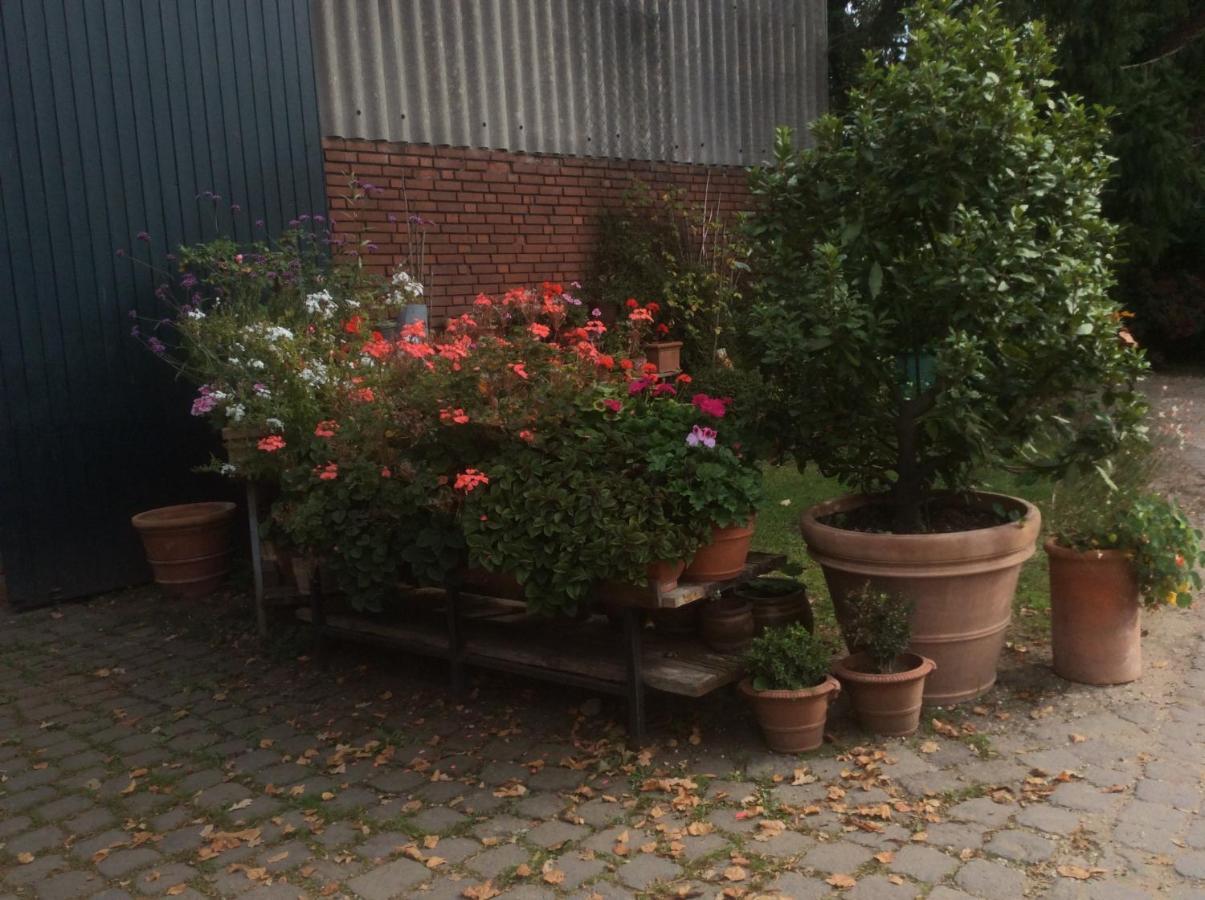 Ferienwohnung Haumannshof Xanten Zewnętrze zdjęcie